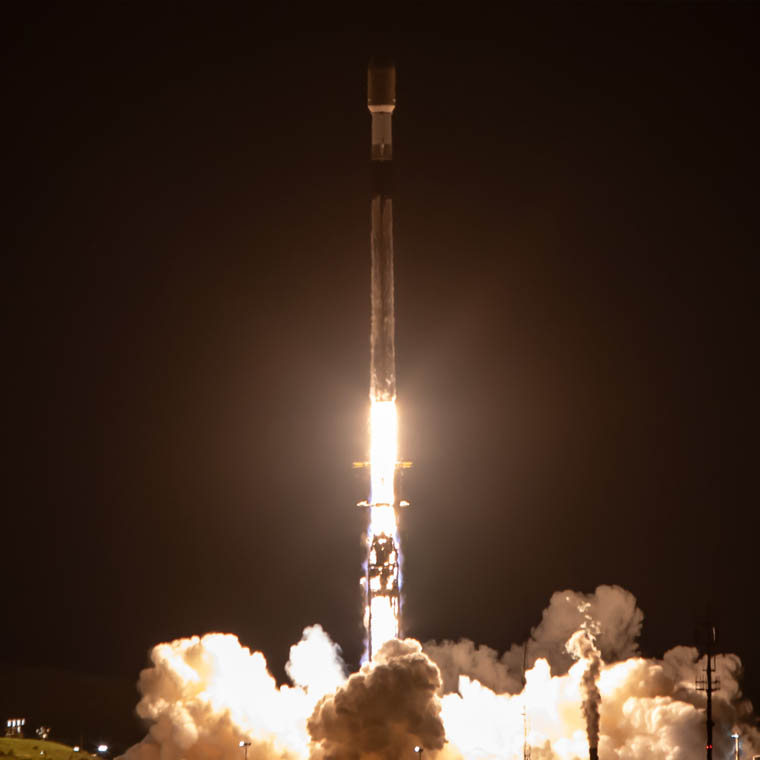 Preview image of Exomission